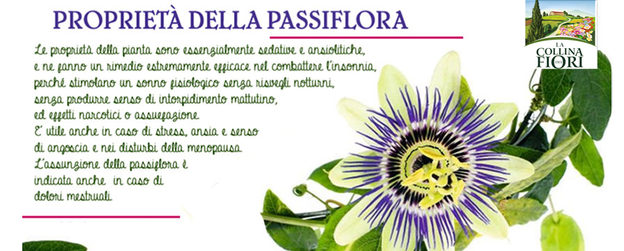 passiflora-proprietà