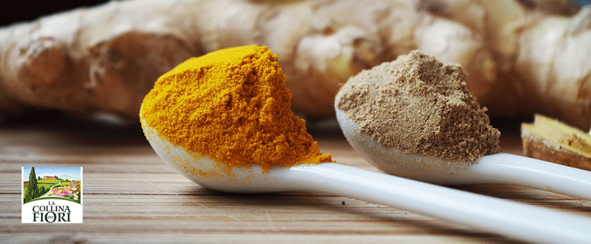curcuma-e-zenzero-bio