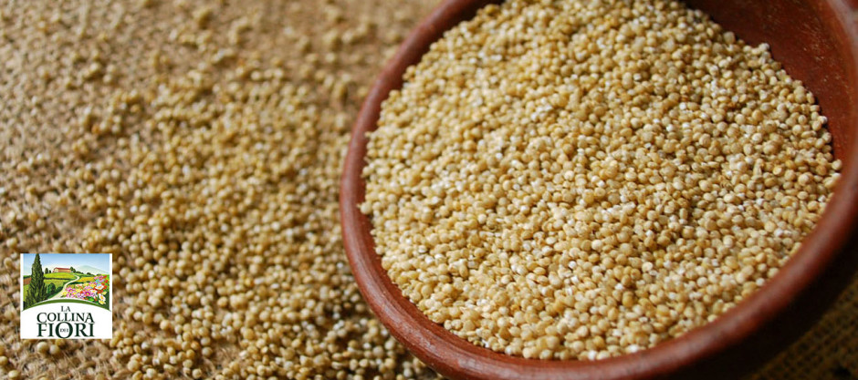 quinoa senza glutine